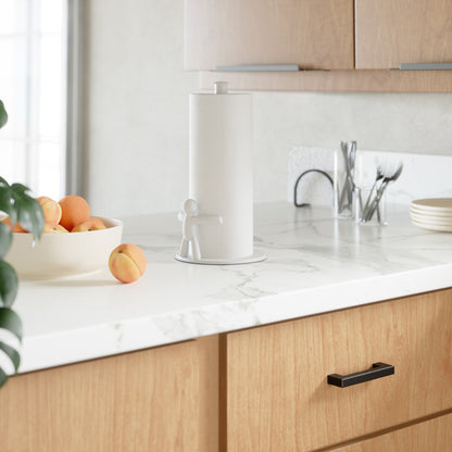 Countertop Paper Towel Holder - Bathroom Reset